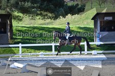 ref. photo 3556019
