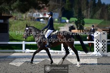 ref. photo 3556023