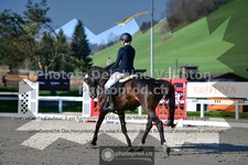 ref. photo 3556024