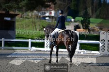 ref. photo 3556025
