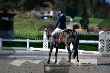 ref. photo 3556026