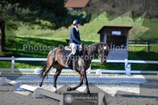 ref. photo 3556027