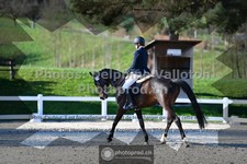 ref. photo 3556029