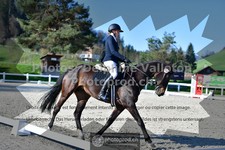 ref. photo 3556031