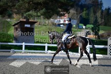 ref. photo 3556034
