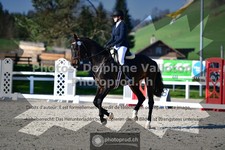 ref. photo 3556040