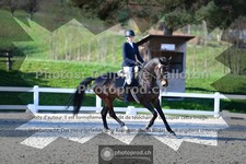 ref. photo 3556042