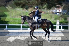 ref. photo 3556044