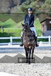 ref. photo 3556047