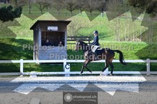 ref. photo 3556048