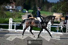 ref. photo 3556051
