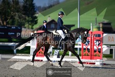 ref. photo 3556052