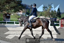 ref. photo 3556054