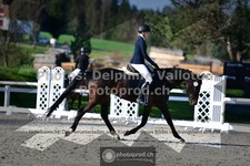 ref. photo 3556056
