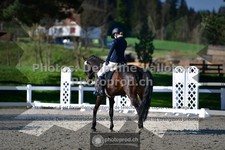 ref. photo 3556062