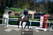ref. photo 3556068