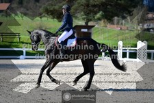 ref. photo 3556091