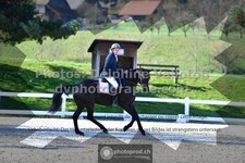 ref. photo 3556092