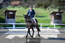 ref. photo 3556097