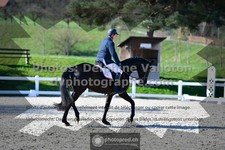 ref. photo 3556101