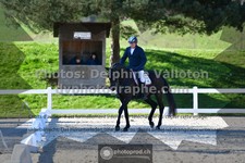 ref. photo 3556105