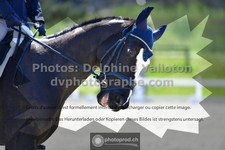 ref. photo 3556109