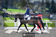 ref. photo 3556110