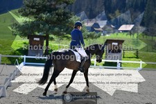 ref. photo 3556119