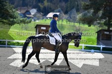 ref. photo 3556120