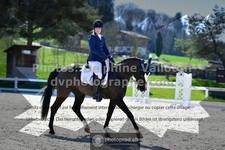 ref. photo 3556121