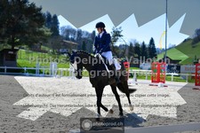 ref. photo 3556122