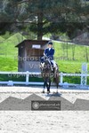 ref. photo 3556139
