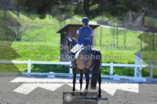ref. photo 3556144