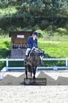 ref. photo 3556148