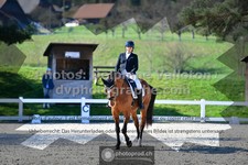 ref. photo 3556152