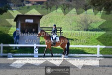 ref. photo 3556153
