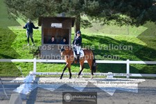 ref. photo 3556158