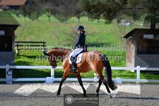 ref. photo 3556162
