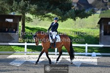 ref. photo 3556163