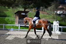 ref. photo 3556166