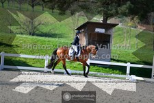 ref. photo 3556168