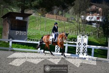 ref. photo 3556169