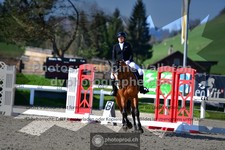 ref. photo 3556172