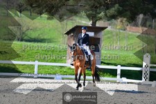 ref. photo 3556178