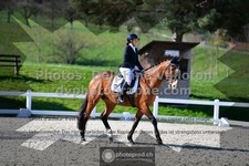 ref. photo 3556182