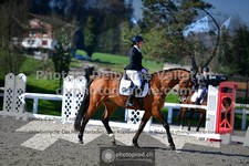 ref. photo 3556183