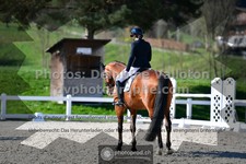 ref. photo 3556191