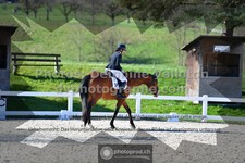 ref. photo 3556192