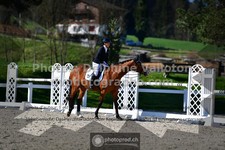 ref. photo 3556194
