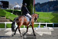 ref. photo 3556203